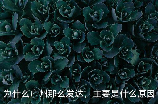 為什么廣州那么發(fā)達(dá)，主要是什么原因