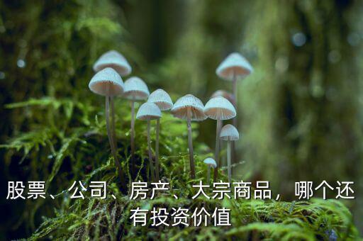 股票、公司、房產(chǎn)、大宗商品，哪個(gè)還有投資價(jià)值