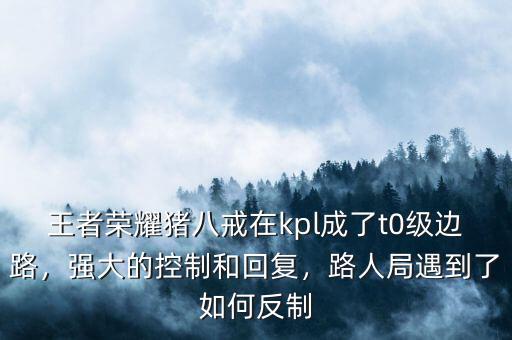王者榮耀豬八戒在kpl成了t0級(jí)邊路，強(qiáng)大的控制和回復(fù)，路人局遇到了如何反制