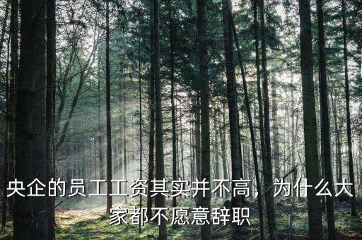 央企的員工工資其實并不高，為什么大家都不愿意辭職