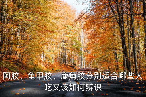 阿膠、龜甲膠、鹿角膠分別適合哪些人吃又該如何辨識