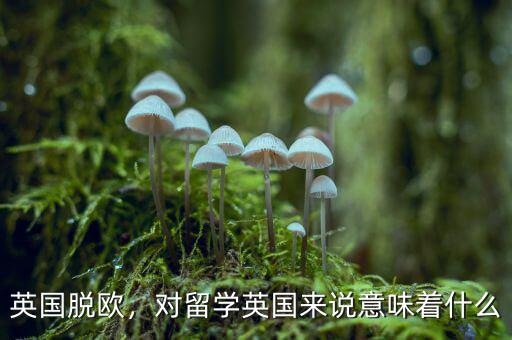 英國脫歐，對留學(xué)英國來說意味著什么