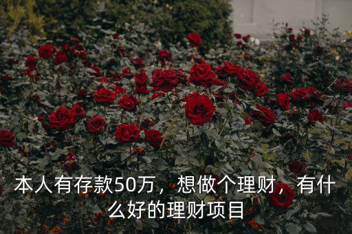 本人有存款50萬(wàn)，想做個(gè)理財(cái)，有什么好的理財(cái)項(xiàng)目