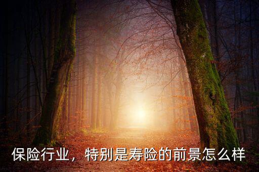 保險(xiǎn)行業(yè)，特別是壽險(xiǎn)的前景怎么樣
