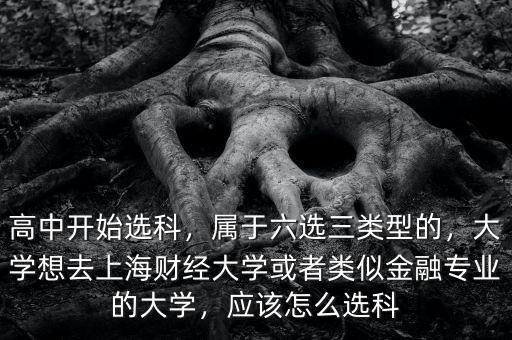 高中開始選科，屬于六選三類型的，大學想去上海財經(jīng)大學或者類似金融專業(yè)的大學，應該怎么選科