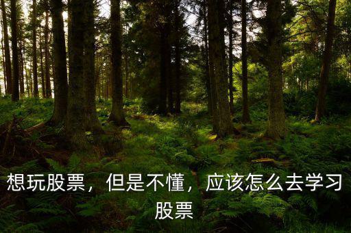 想玩股票，但是不懂，應該怎么去學習股票