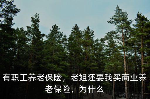 有職工養(yǎng)老保險(xiǎn)，老姐還要我買商業(yè)養(yǎng)老保險(xiǎn)，為什么