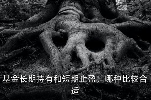 基金長期持有和短期止盈，哪種比較合適
