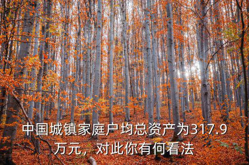 中國城鎮(zhèn)家庭戶均總資產(chǎn)為317.9萬元，對此你有何看法