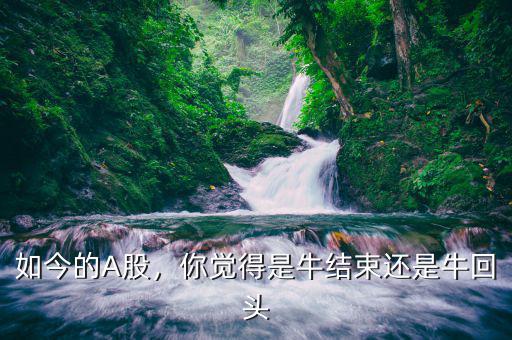 如今的A股，你覺得是牛結(jié)束還是牛回頭