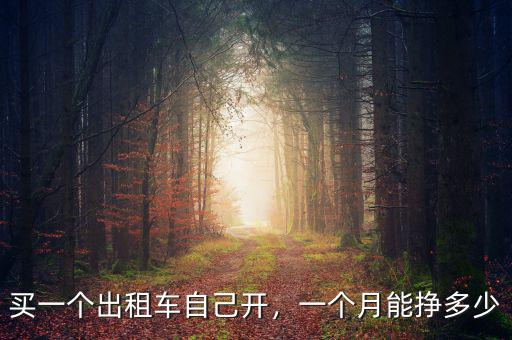 買(mǎi)一個(gè)出租車(chē)自己開(kāi)，一個(gè)月能掙多少