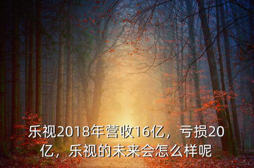 樂視2018年營收16億，虧損20億，樂視的未來會怎么樣呢