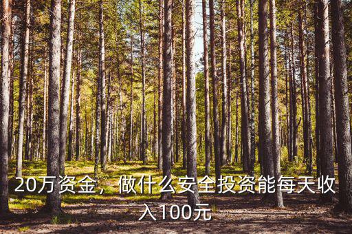 20萬(wàn)資金，做什么安全投資能每天收入100元