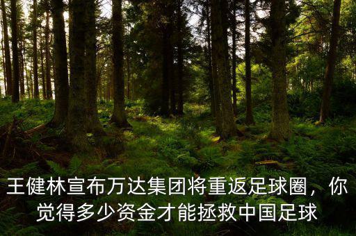 王健林宣布萬達集團將重返足球圈，你覺得多少資金才能拯救中國足球