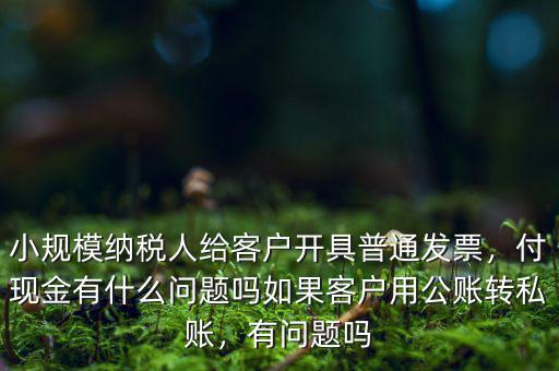 小規(guī)模納稅人給客戶(hù)開(kāi)具普通發(fā)票，付現(xiàn)金有什么問(wèn)題嗎如果客戶(hù)用公賬轉(zhuǎn)私賬，有問(wèn)題嗎