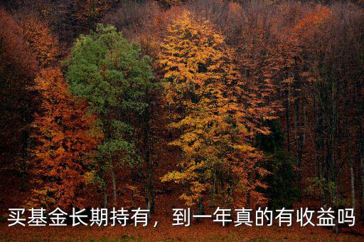 買基金長期持有，到一年真的有收益嗎