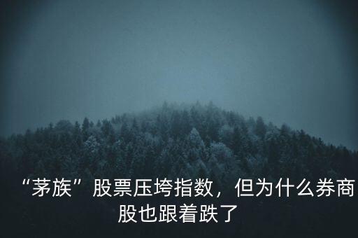 “茅族”股票壓垮指數(shù)，但為什么券商股也跟著跌了