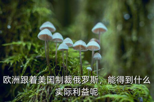 歐洲跟著美國制裁俄羅斯，能得到什么實際利益呢