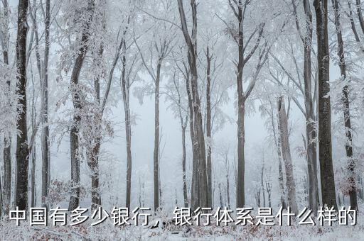 中國(guó)有多少銀行，銀行體系是什么樣的