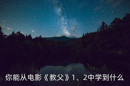 你能從電影《教父》1、2中學到什么