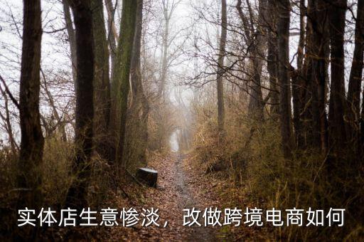 實體店生意慘淡，改做跨境電商如何