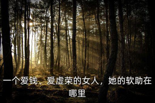 一個愛錢、愛虛榮的女人，她的軟助在哪里