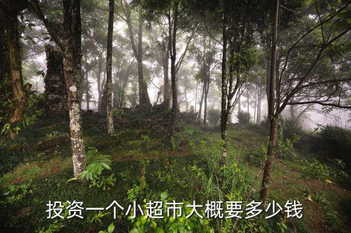 投資一個(gè)小超市大概要多少錢(qián)