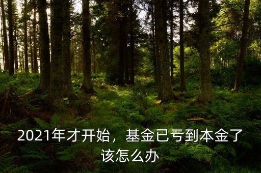 2021年才開始，基金已虧到本金了該怎么辦