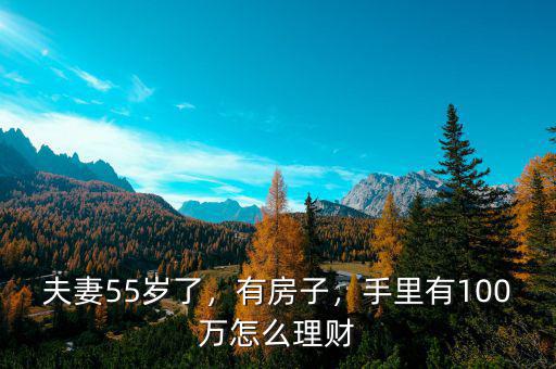 夫妻55歲了，有房子，手里有100萬怎么理財(cái)