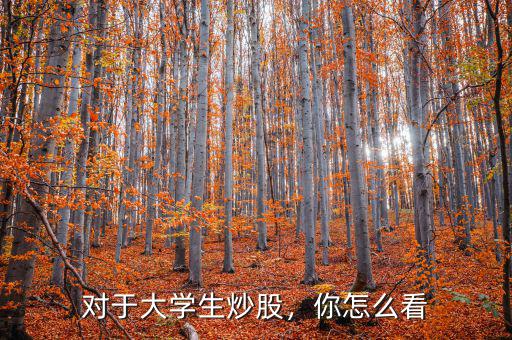 對于大學生炒股，你怎么看
