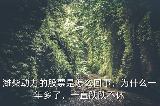濰柴動(dòng)力的股票是怎么回事，為什么一年多了，一直跌跌不休