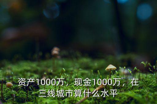 資產(chǎn)1000萬，現(xiàn)金1000萬，在三線城市算什么水平