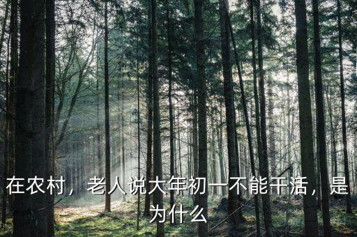 在農(nóng)村，老人說(shuō)大年初一不能干活，是為什么