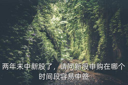 兩年未中新股了，請(qǐng)問(wèn)新股申購(gòu)在哪個(gè)時(shí)間段容易中簽