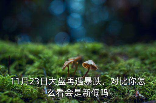 11月23日大盤(pán)再遇暴跌，對(duì)比你怎么看會(huì)是新低嗎