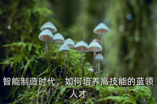 智能制造時代，如何培養(yǎng)高技能的藍領(lǐng)人才