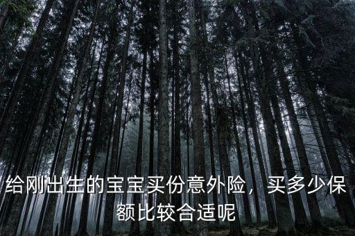 給剛出生的寶寶買份意外險，買多少保額比較合適呢