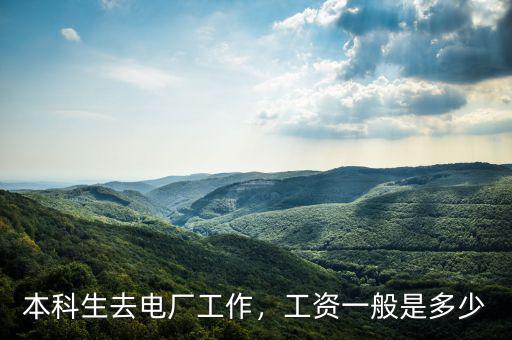 本科生去電廠工作，工資一般是多少