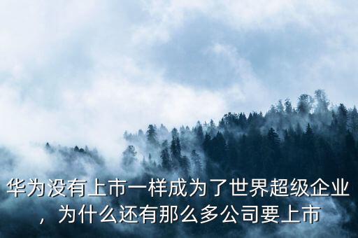 華為沒有上市一樣成為了世界超級(jí)企業(yè)，為什么還有那么多公司要上市