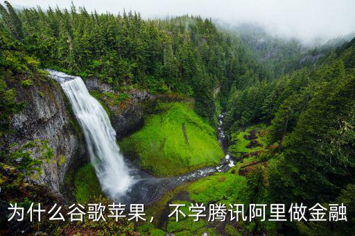 為什么谷歌蘋果，不學騰訊阿里做金融
