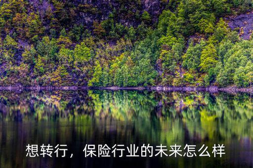 想轉(zhuǎn)行，保險行業(yè)的未來怎么樣
