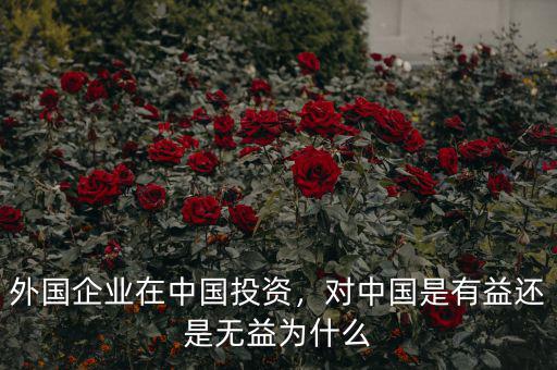 外國企業(yè)在中國投資，對中國是有益還是無益為什么