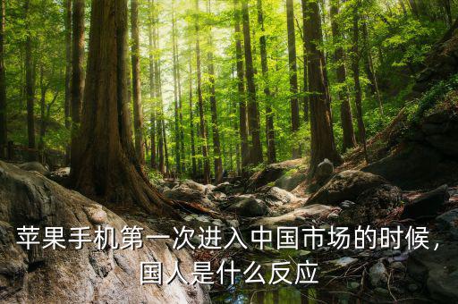 蘋果手機(jī)第一次進(jìn)入中國(guó)市場(chǎng)的時(shí)候，國(guó)人是什么反應(yīng)