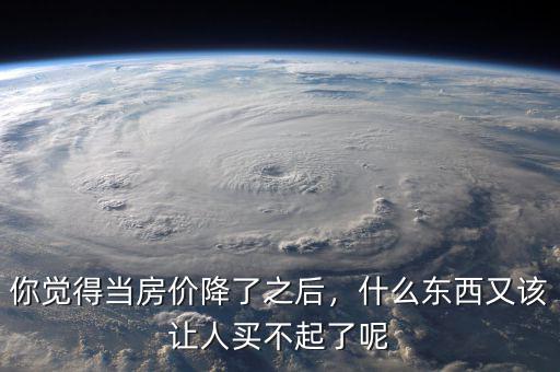 你覺得當(dāng)房價降了之后，什么東西又該讓人買不起了呢