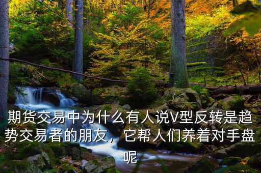 期貨交易中為什么有人說(shuō)V型反轉(zhuǎn)是趨勢(shì)交易者的朋友，它幫人們養(yǎng)著對(duì)手盤呢