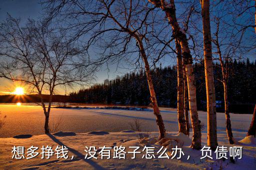想多掙錢，沒(méi)有路子怎么辦，負(fù)債啊