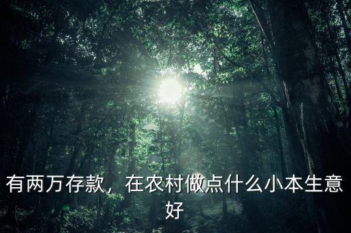 有兩萬存款，在農(nóng)村做點(diǎn)什么小本生意好