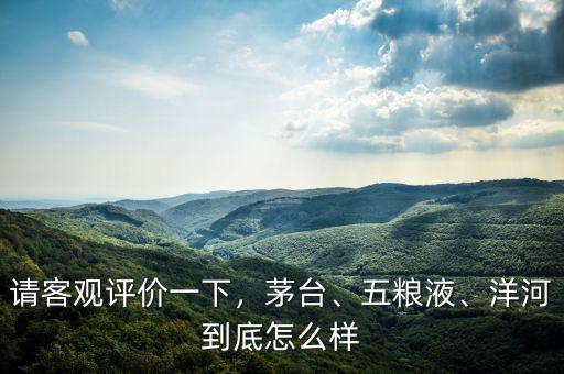 請客觀評價(jià)一下，茅臺、五糧液、洋河到底怎么樣