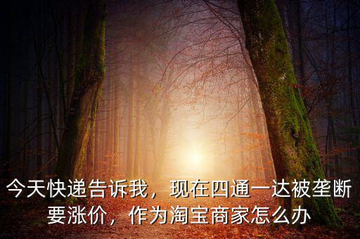 今天快遞告訴我，現(xiàn)在四通一達被壟斷要漲價，作為淘寶商家怎么辦