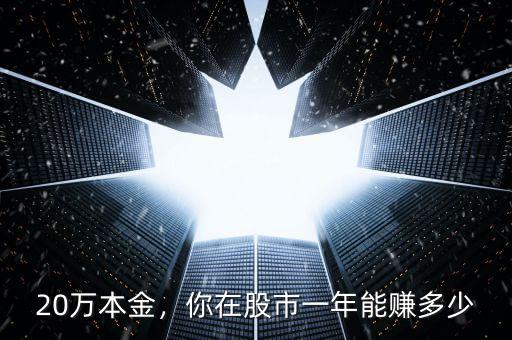 20萬本金，你在股市一年能賺多少